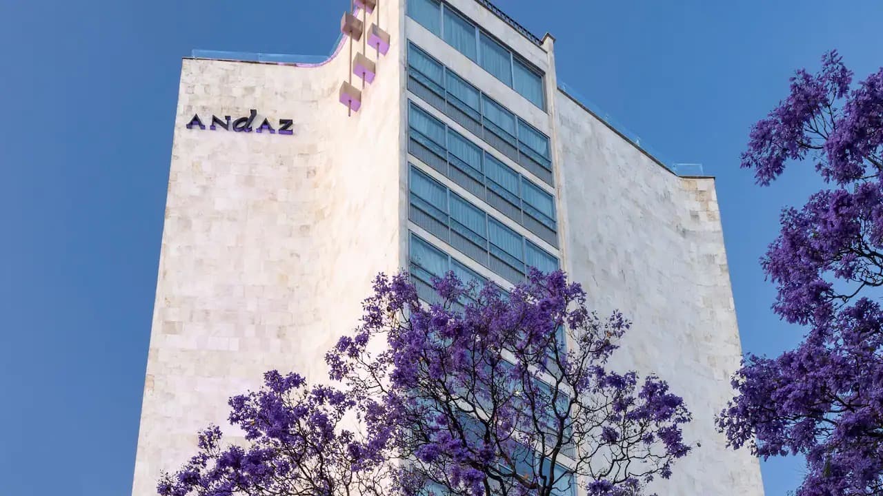 The white stone Andaz tower behind a jacaranda tree in full purple bloom